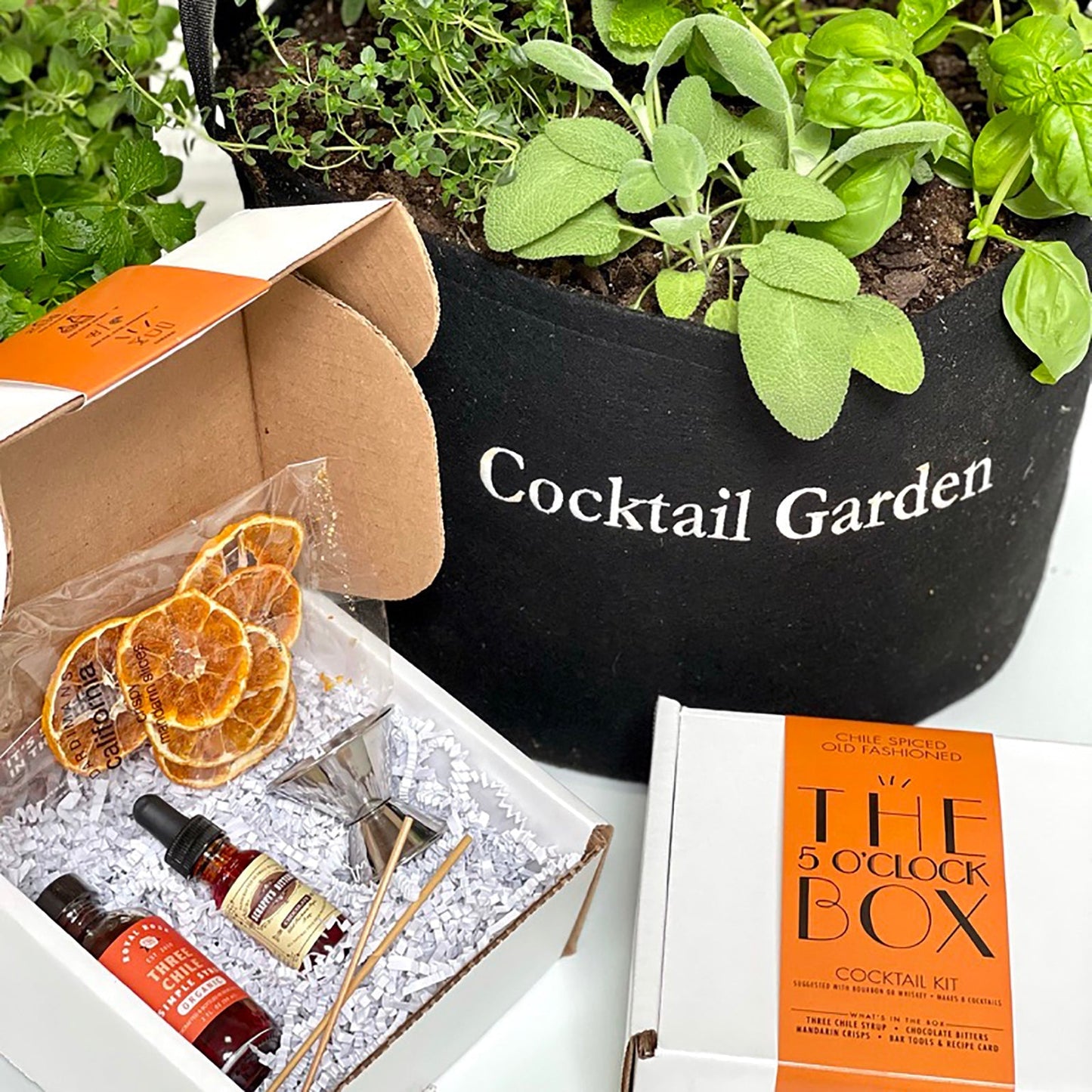 Cocktail Garden Gift Set with 5 O'Clock Box
