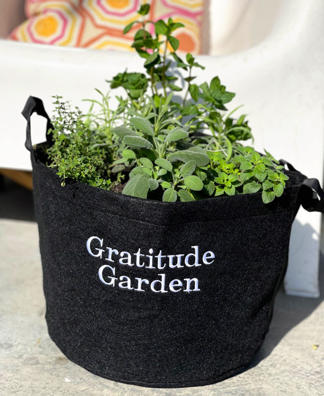 Gratitude Giftable Garden
