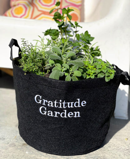 Gratitude Garden Kit with seasonal herbs