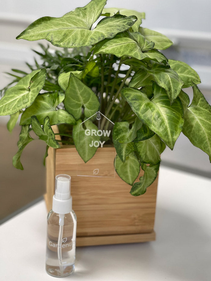 Root Rage™ Tropical Serum Monthly Plant Nutrients