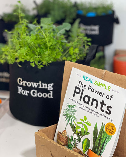 Growing For Good Garden Kit with veggie seed strips + herb plants