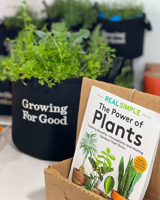 Growing For Good Garden Kit with veggie seed strips + herb plants image