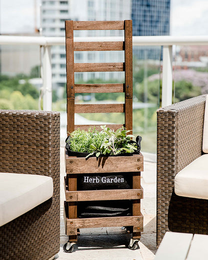 Patio Herb Garden Kit