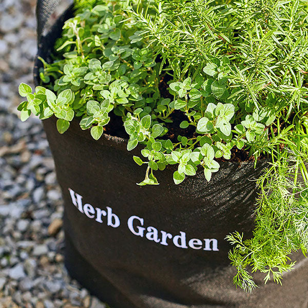 Herb Garden Kit‎ with seasonal culinary herbs