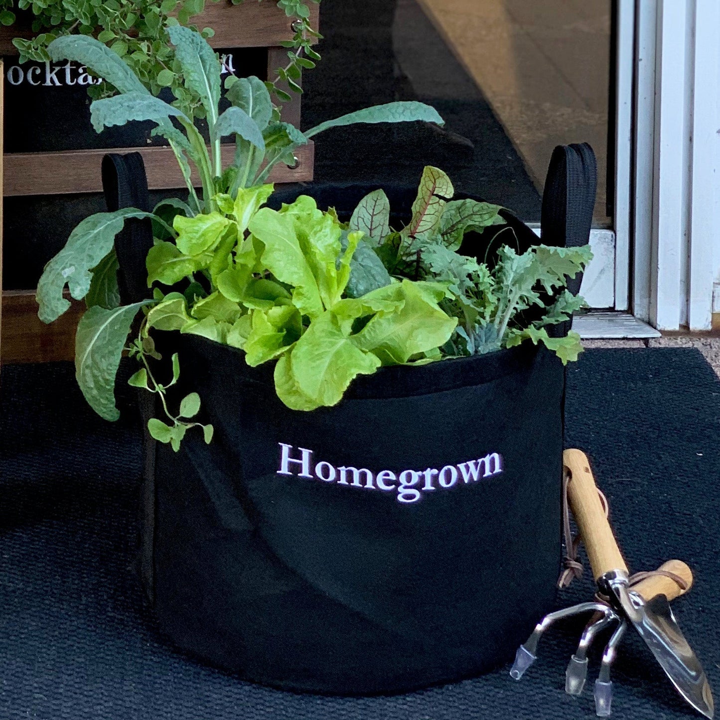 Heart Healthy Homegrown Giftable Garden