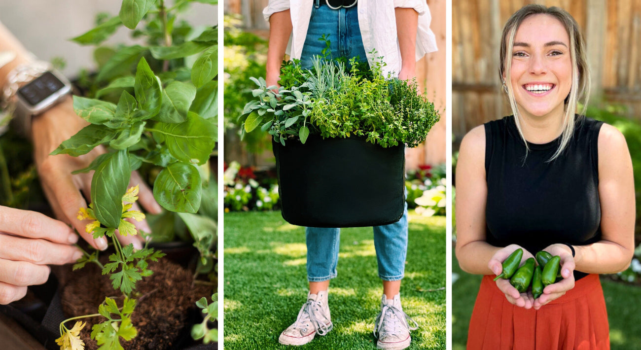 Gardenuity | Patio Container Gardens | Grow Everyday Well-Being