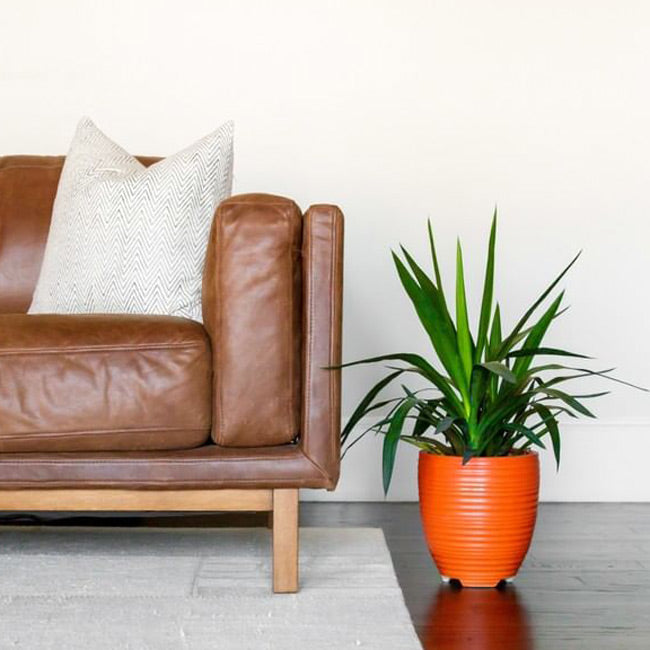 Orange Ceramic Planters