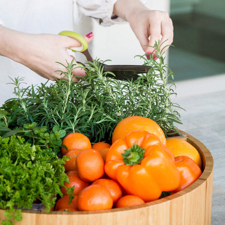 Oversized Lazy Susan Garden Spinner