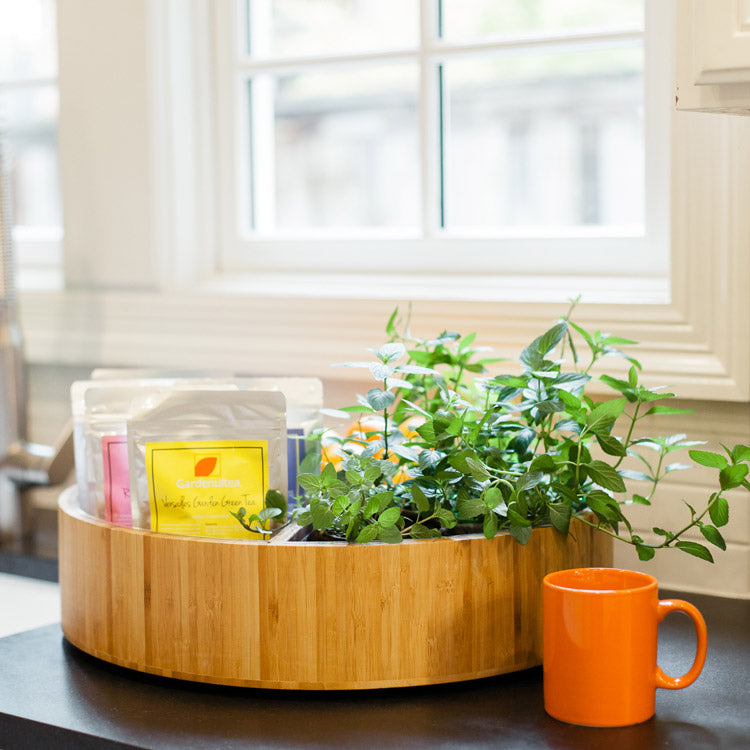 Oversized Lazy Susan Garden Spinner