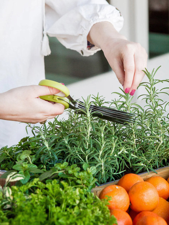 The Kitchen Garden Kit‎ with culinary herbs + weekly recipes