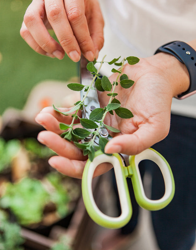 Grow Your Own Garden Kit