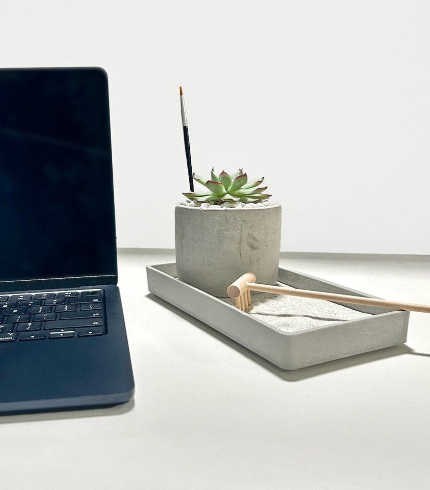 Modern Zen Succulent Desktop Garden