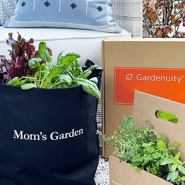 Mom's Garden Kit with seasonal herbs