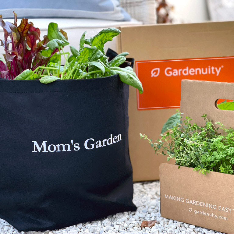 Mom's Garden Kit with seasonal herbs