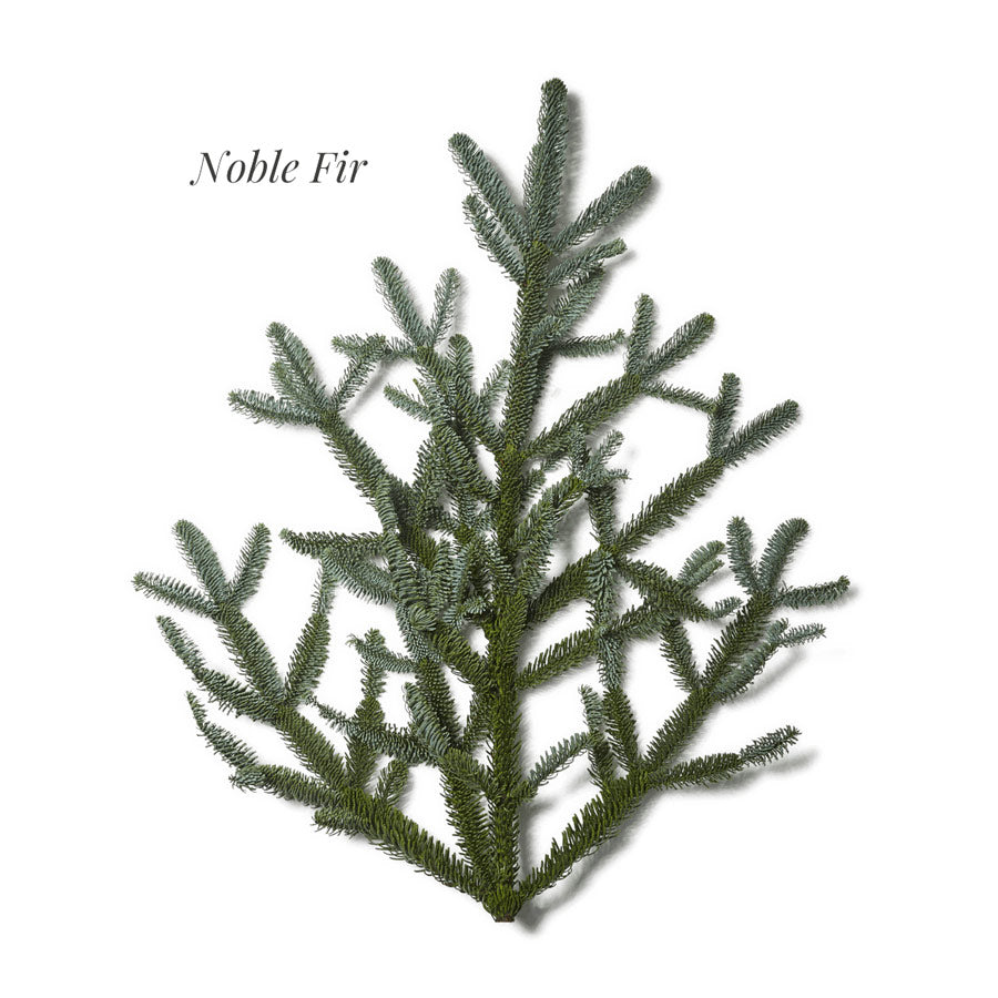 Real Noble Fir Candle Ring Wreath, 15"