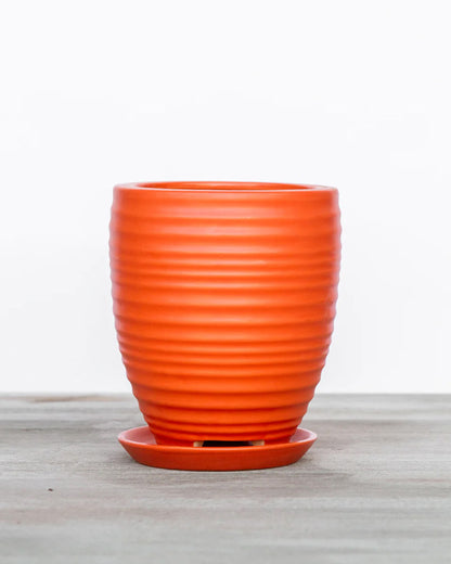 Orange Ceramic Planters