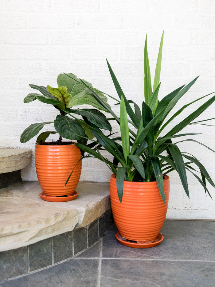 ceramic planters for indoor plants Orange Ceramic Planters