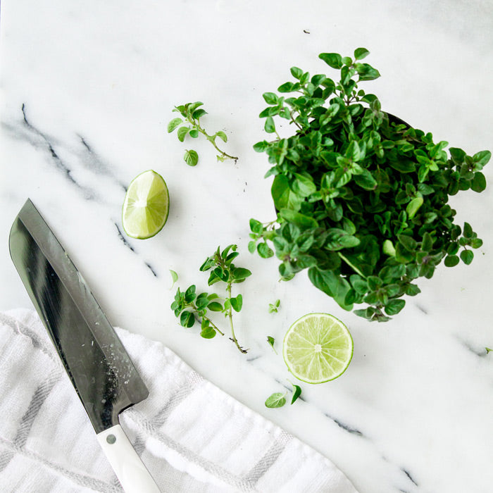 Everyday Good Herb Garden Kit with culinary herb plants