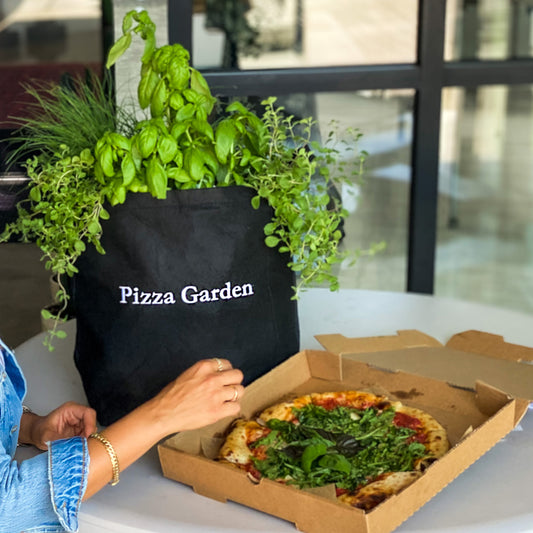 Pizza Garden Kit with tomato + herb plants image
