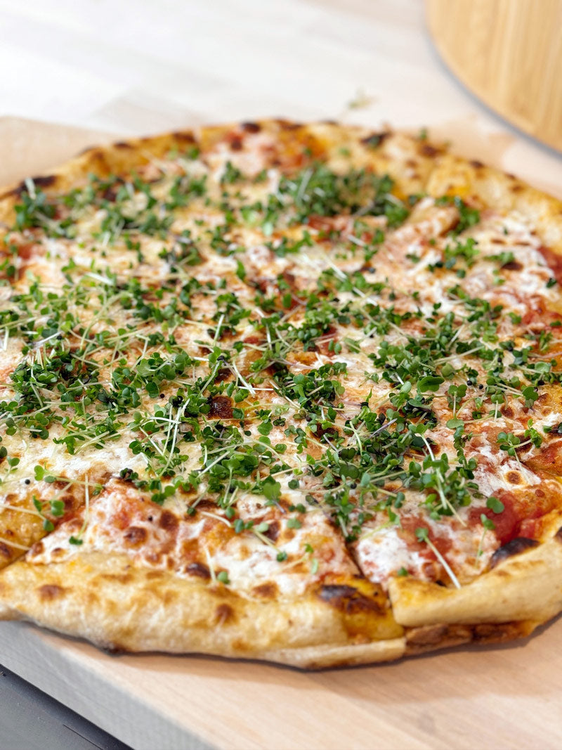 Microgreens Growing Kit