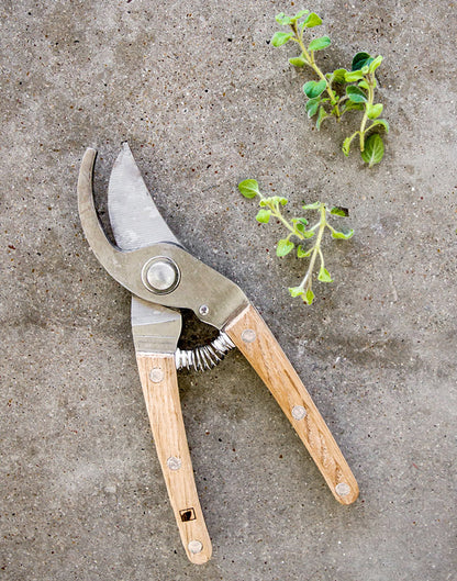 Patio to Table Pruners