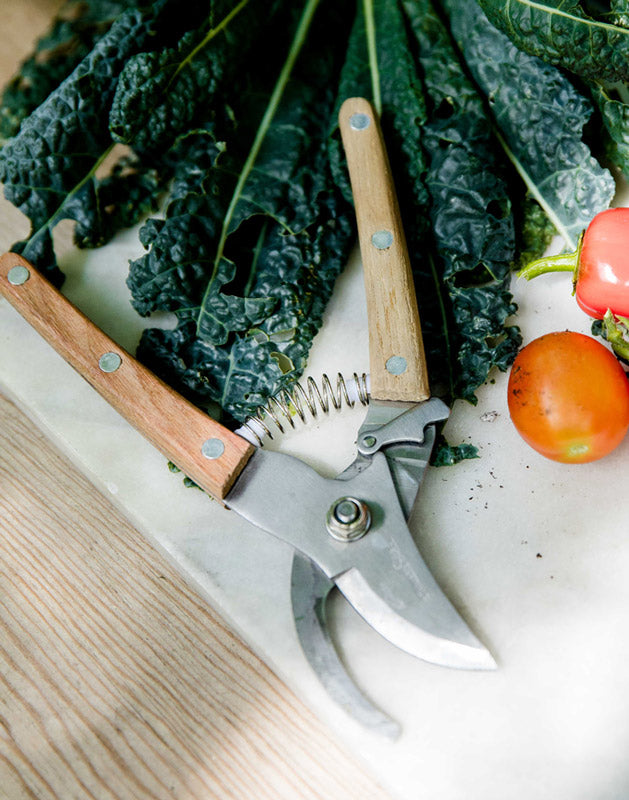 Patio to Table Pruners
