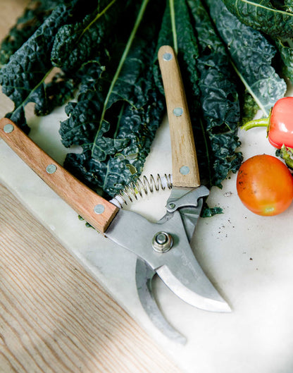 Patio to Table Pruners