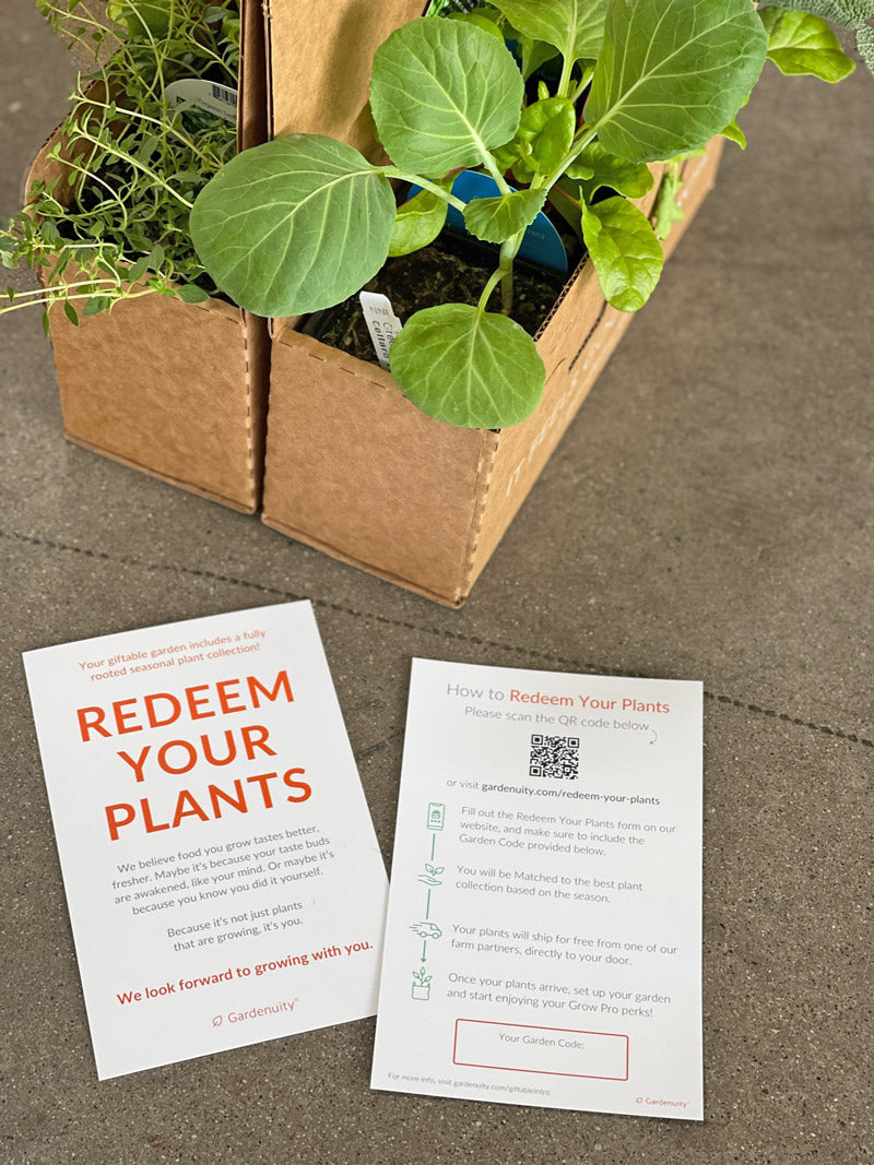 Mint Garden Gift Set with mint chocolate pecan toffee