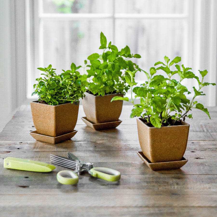 Rice Hull Planter Pot Trio