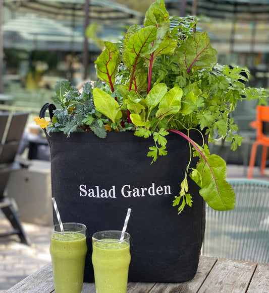 Salad Garden Kit with leafy greens + herbs image