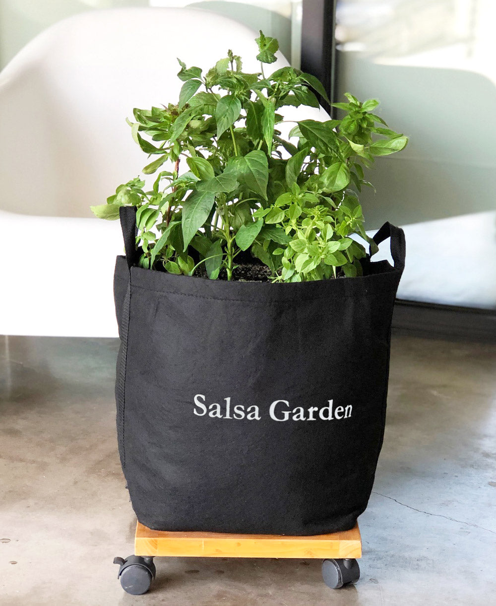 Salsa Giftable Garden