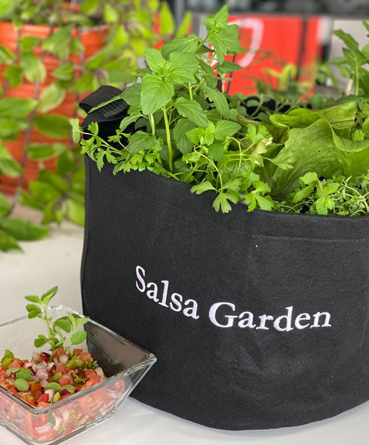 Salsa Garden Kit with pepper, tomato, + herbs image