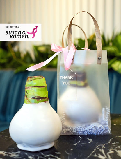 Hope Grows White Waxed Amaryllis Bulb Gift Set in support of Breast Cancer Awareness Month