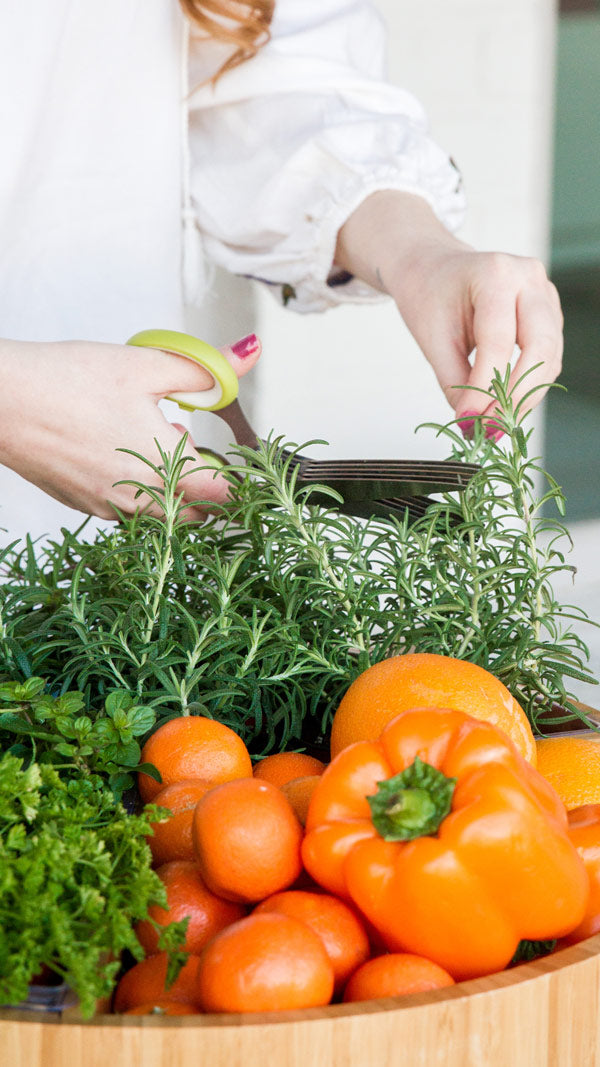 Garden Inspired Gifting image