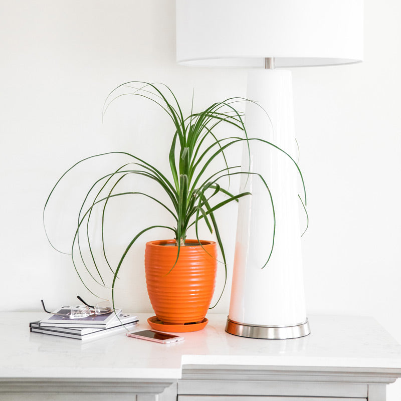 Orange Ceramic Planters