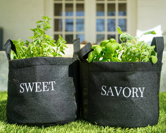 Sweet & Savory Mini Patio Garden Kits The Set image