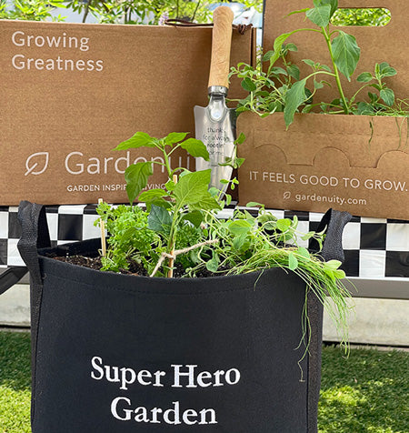 Super Hero Garden Kit with pepper + herb plants