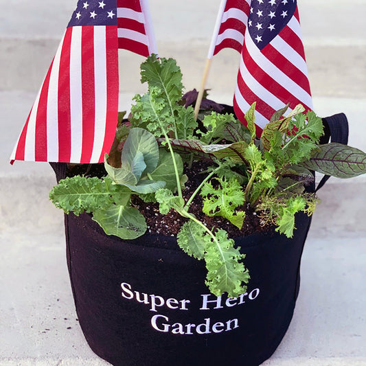 Super Hero Garden Kit with pepper + herb plants image