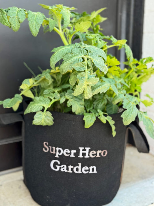 Super Hero Garden Kit with tomato + seasonal herbs image