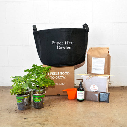 Super Hero Garden Kit with pepper + herb plants