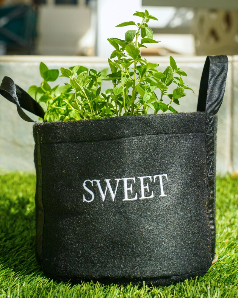 Sweet Mini Patio Garden Kit
