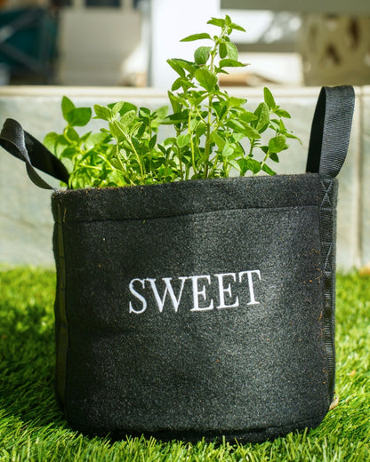 Sweet Mini Patio Garden Kit