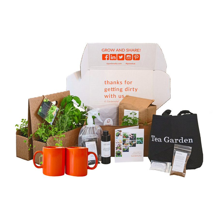 Tea for Two Garden Gift Set with Tea Brewer Mugs