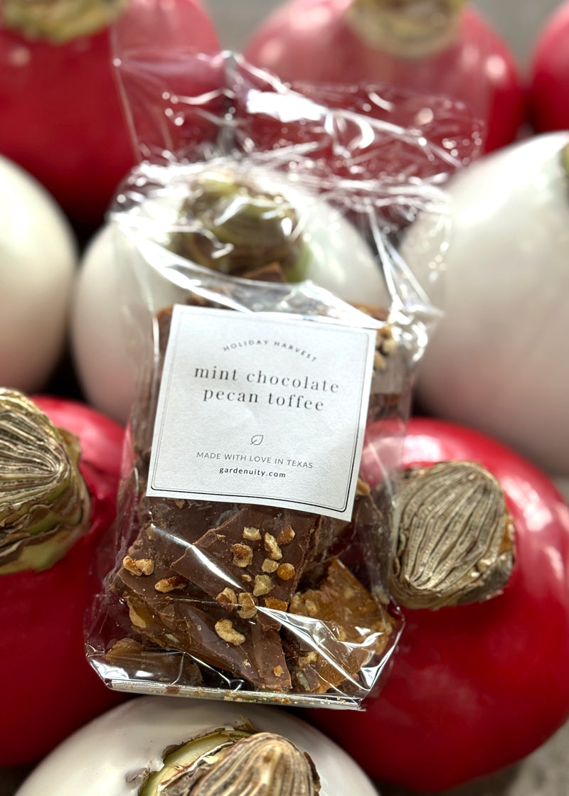 Holiday Harvest Mint Chocolate Pecan Toffee