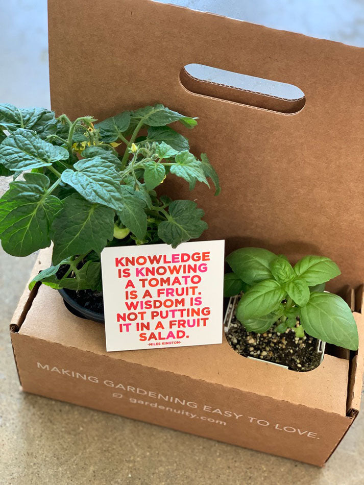 Homegrown Giftable Garden