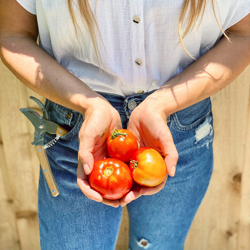 The Vegetable Garden Subscription