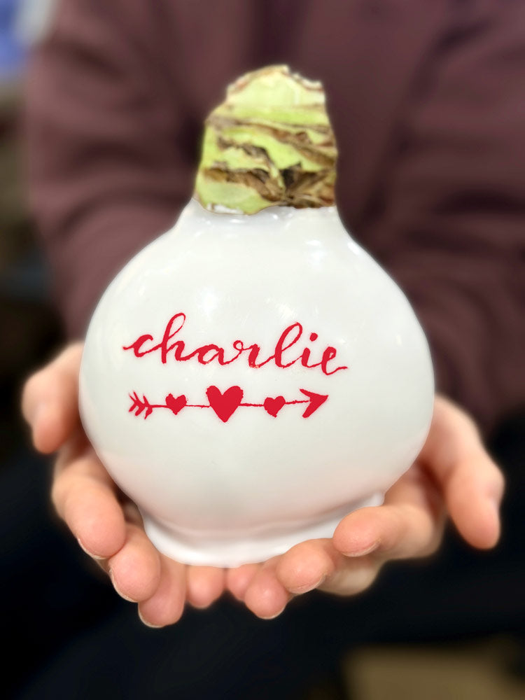 Personalized Valentine White Waxed Amaryllis Bulb with bright white blooms