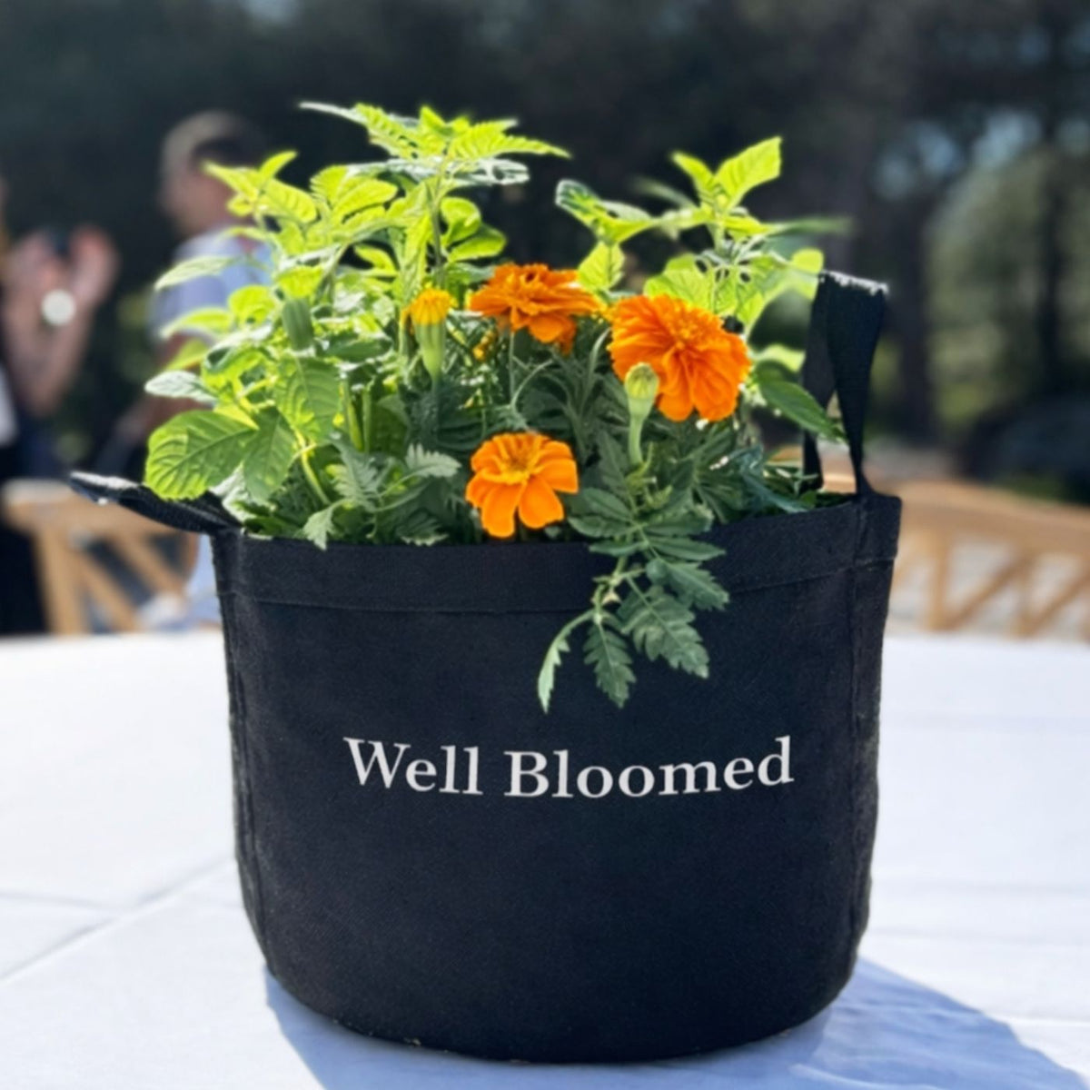 Well Bloomed Garden Kit with edible flowers + herb plants