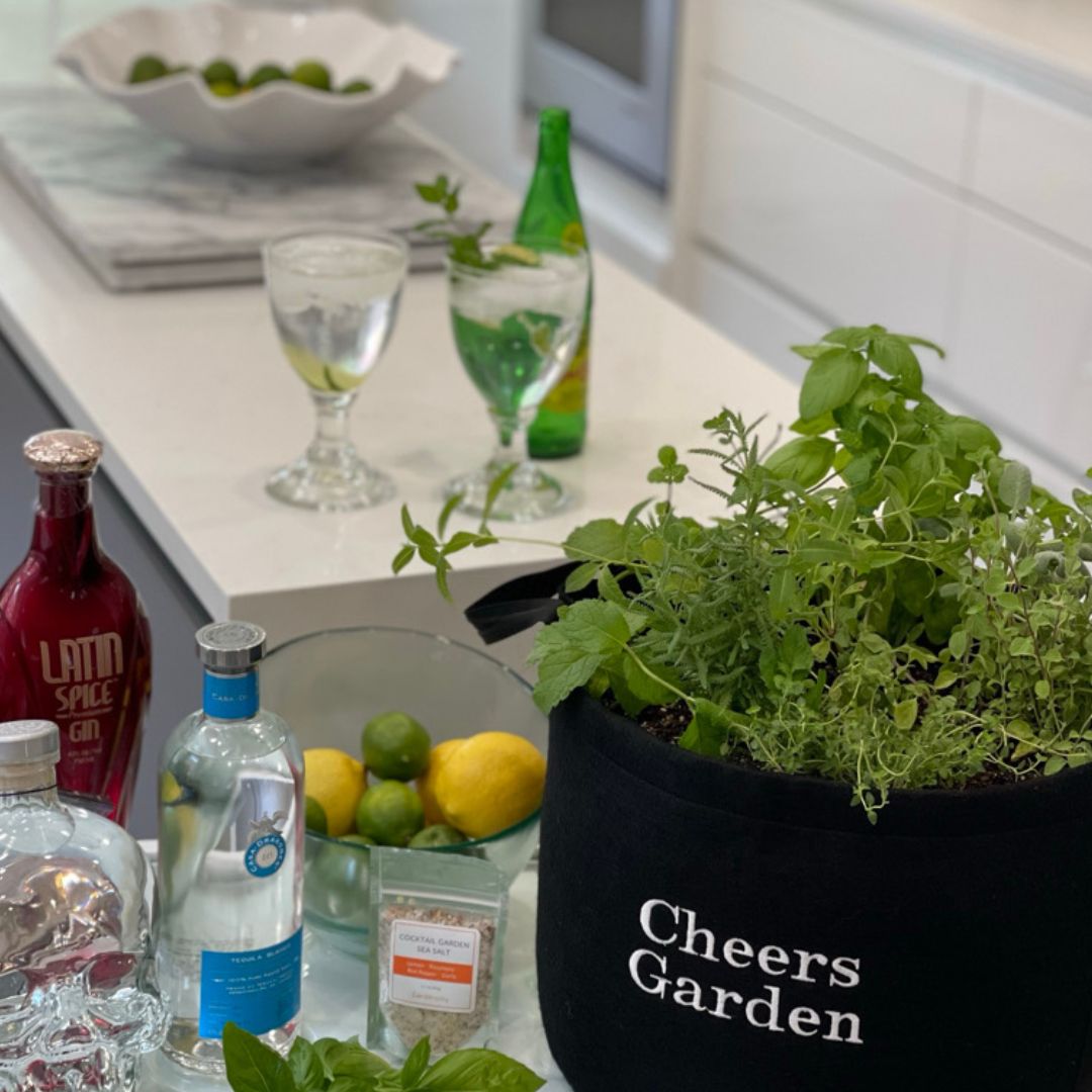 Cheers Giftable Garden