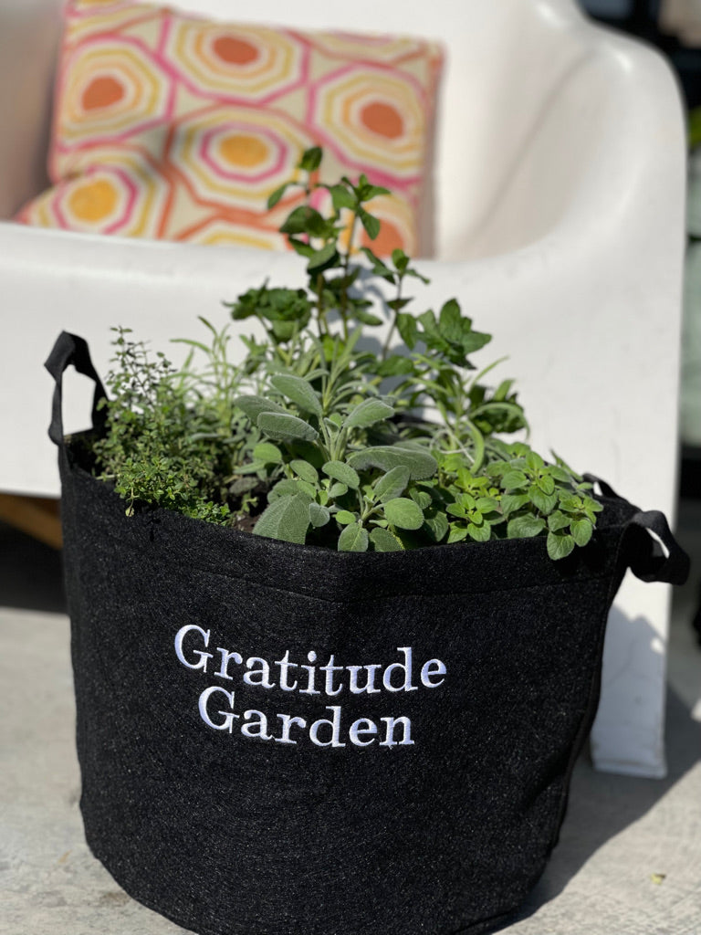 Giftable Gratitude Garden Kit